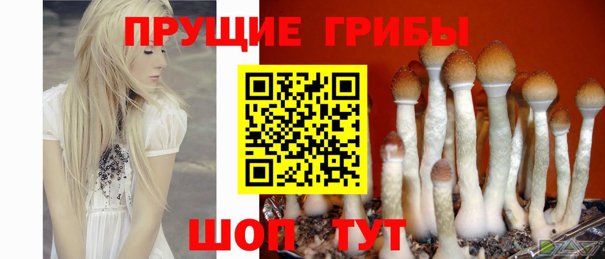 Галлюциногенные грибы MAGIC MUSHROOMS Нарткала